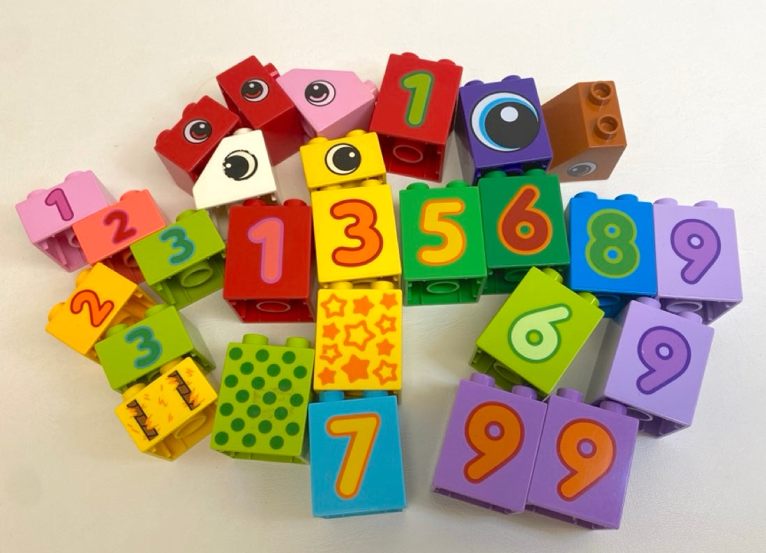 LEGO Duplo Mixed Printed Bricks Fun Pack