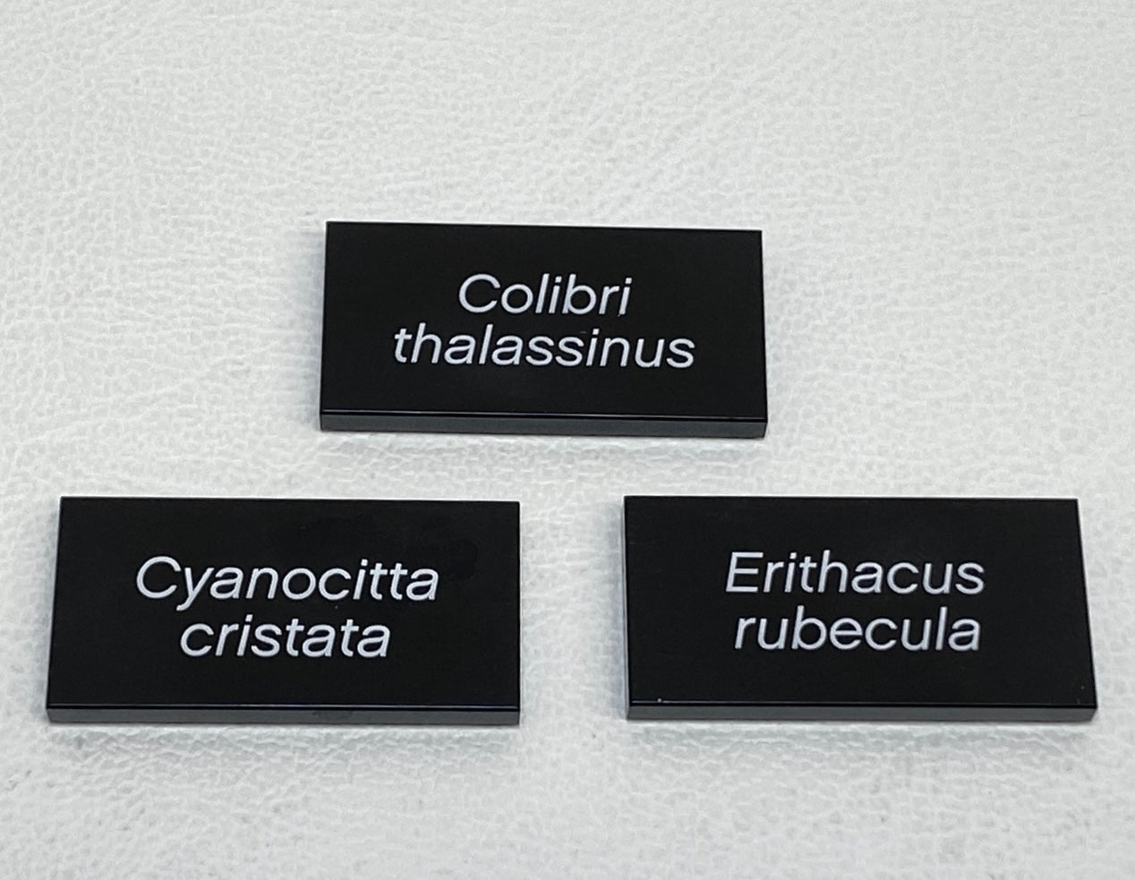 LEGO Printed Tiles From Ideas Birds Set #21301