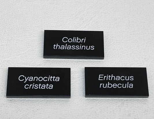 LEGO Printed Tiles From Ideas Birds Set #21301