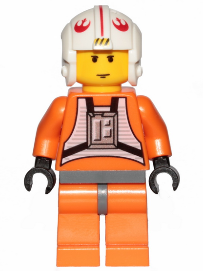 LEGO Star Wars Luke Skywalker Minifigure 20th Anniversary Print
